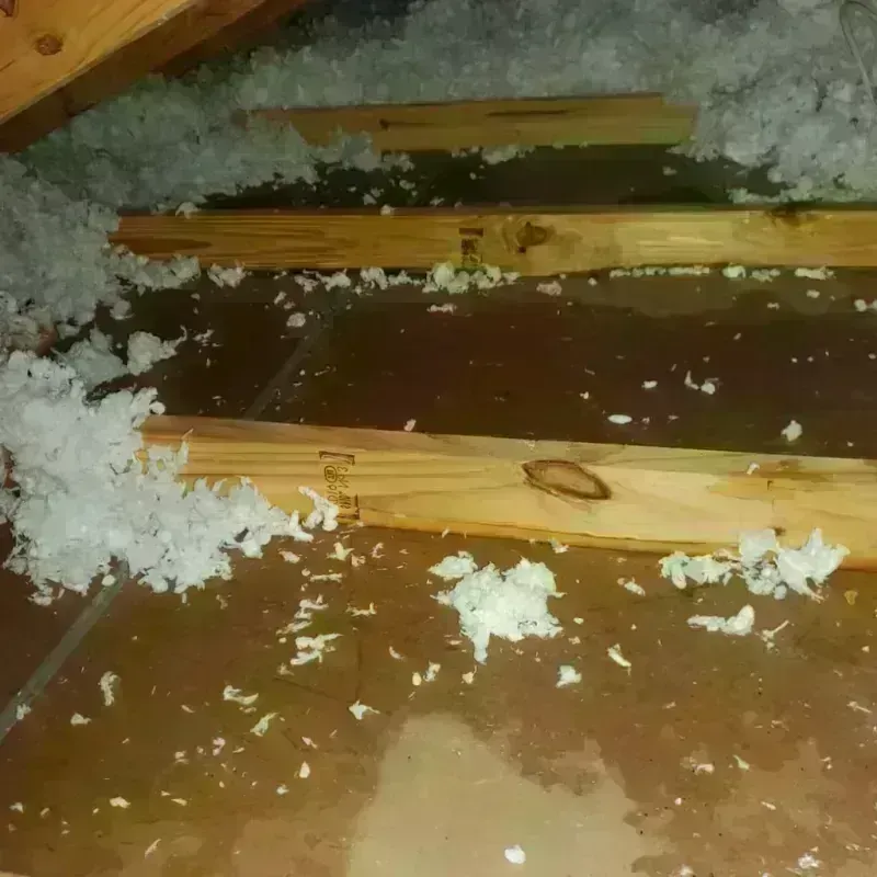 Attic Water Damage in Roanoke, IN