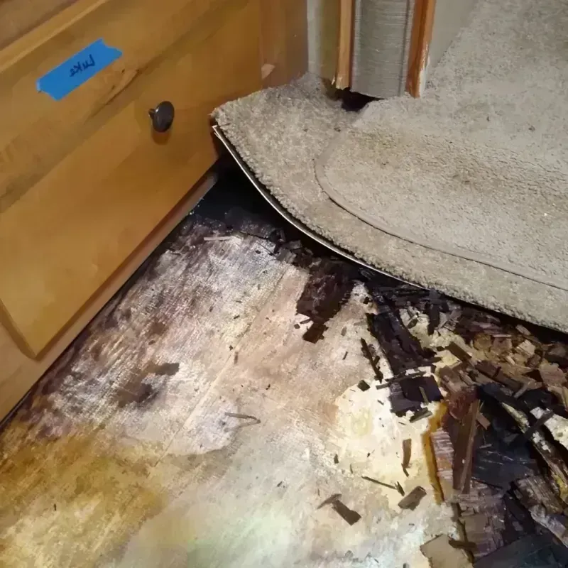 Wood Floor Water Damage in Roanoke, IN